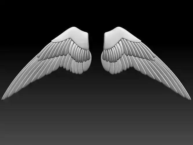 wings pair of colorful 3D print model