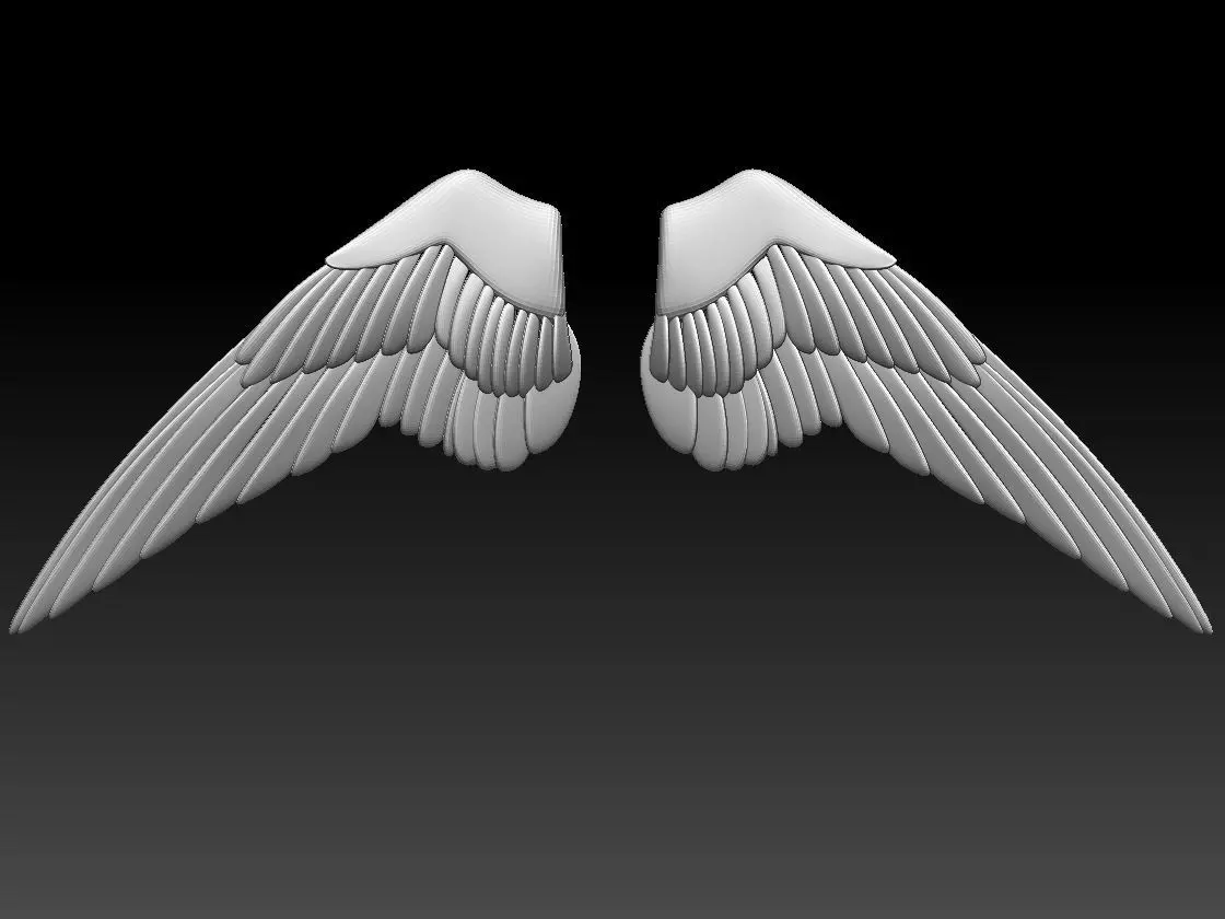 wings pair of colorful 3D print model_0