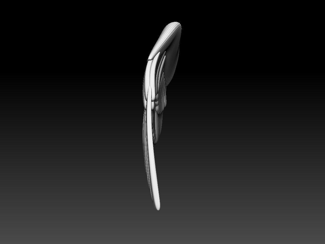 wings pair of colorful 3D print model_4