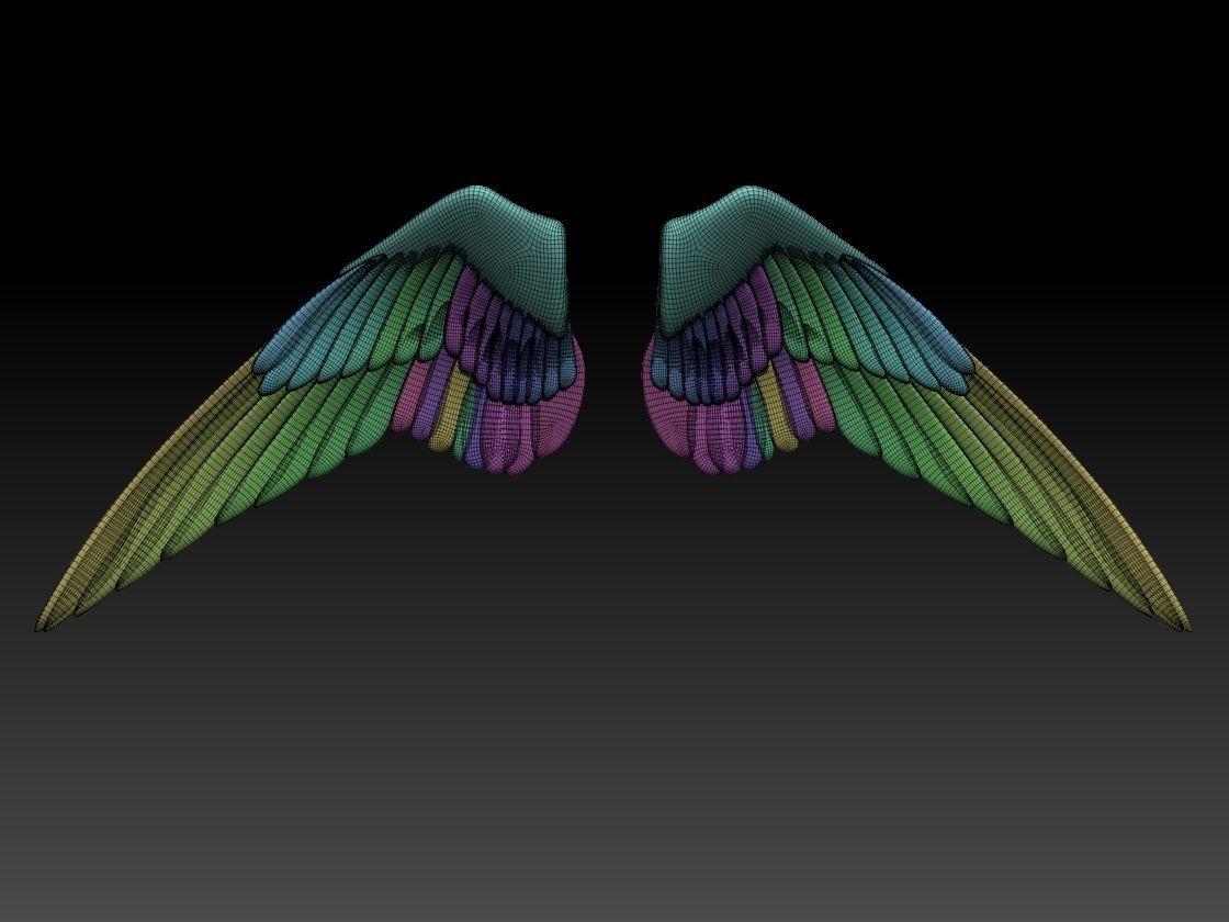 wings pair of colorful 3D print model_7
