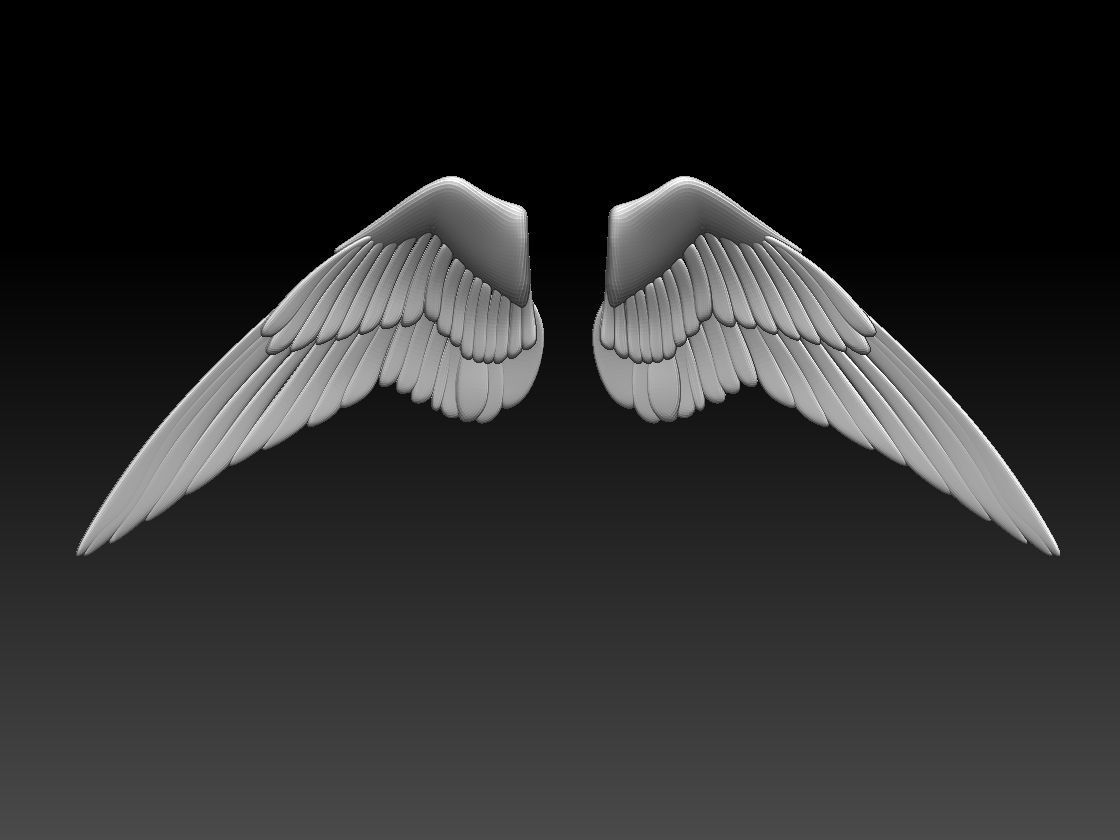 wings pair of colorful 3D print model_1