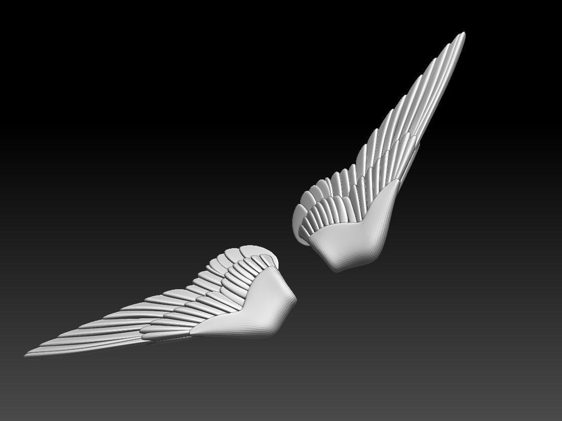 wings pair of colorful 3D print model_6