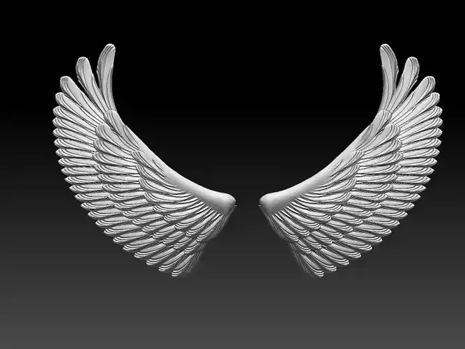 wings two colorful 3D print model