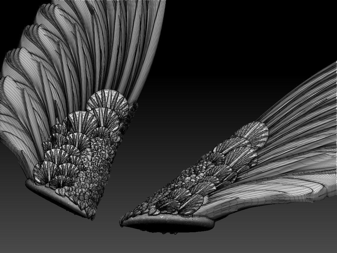 wings pair of colorful 3D print model_3