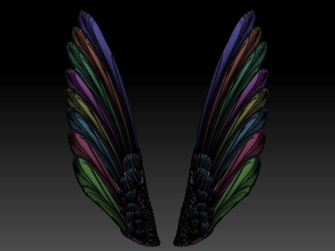 wings pair of colorful 3D print model_4