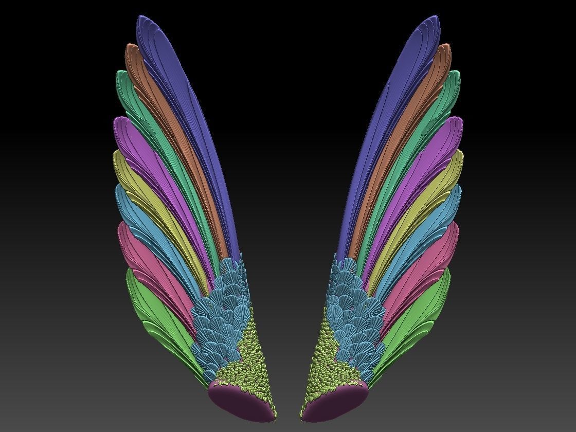 wings pair of colorful 3D print model_2