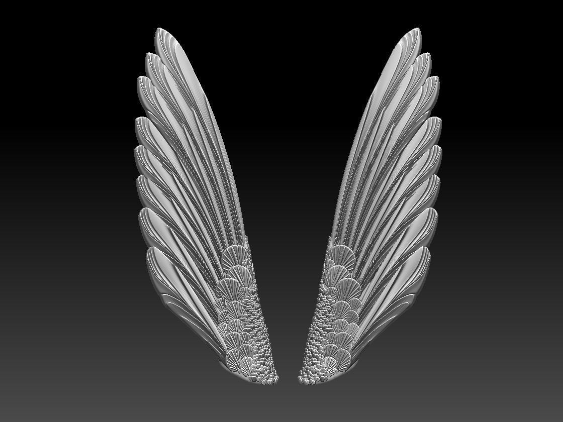 wings pair of colorful 3D print model_1