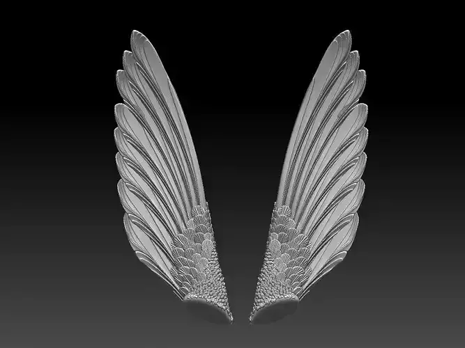 wings pair of colorful