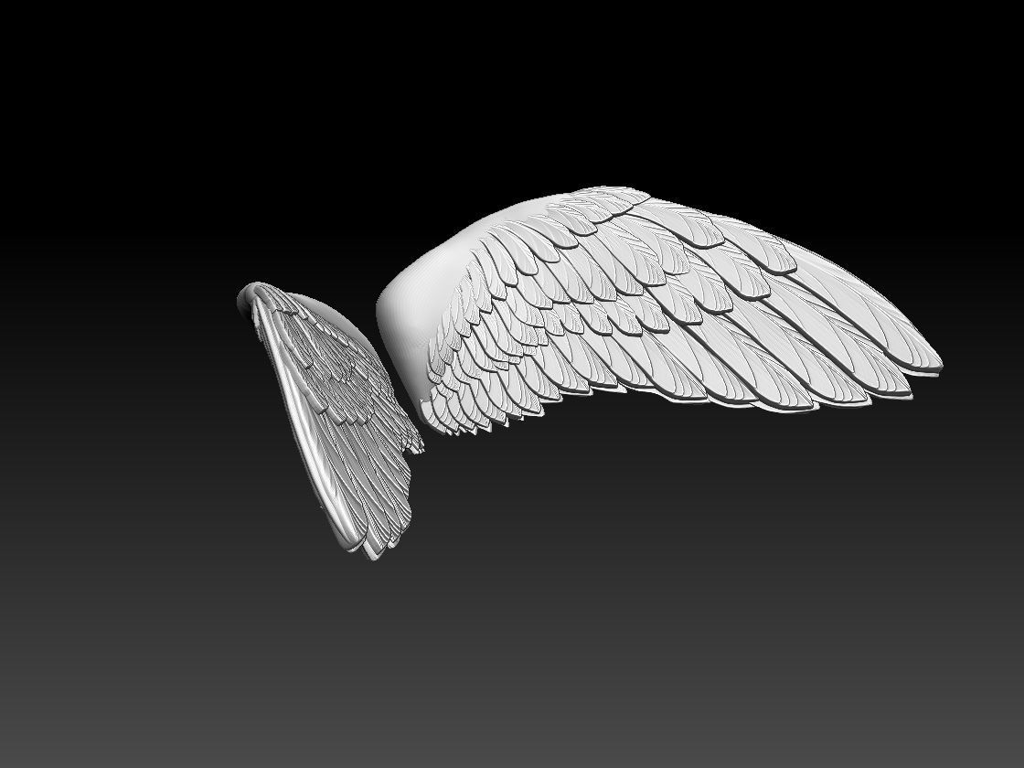 wings angel 3D print model_5