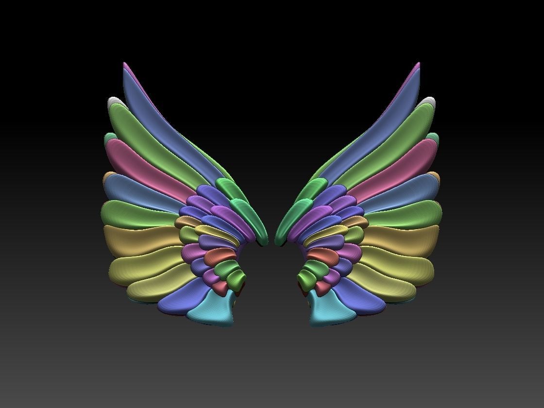 wings colorful feather 3D print model_7