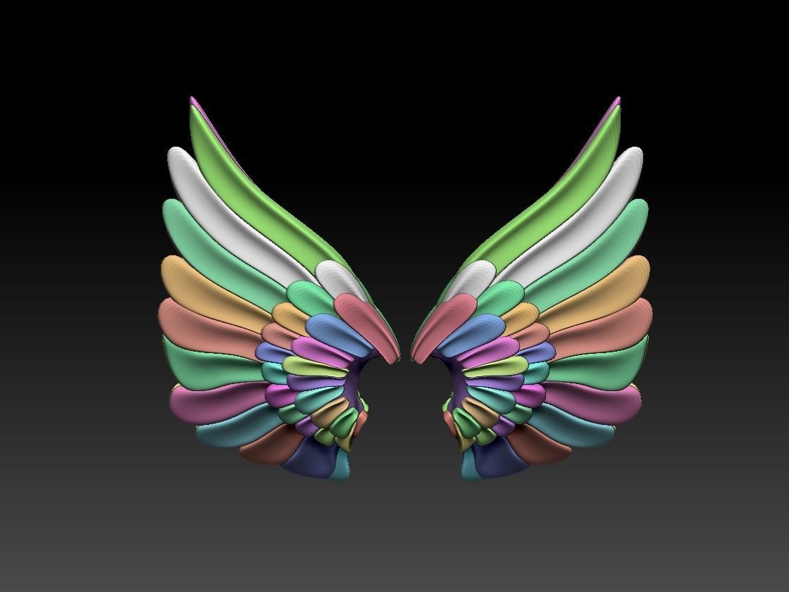wings colorful feather 3D print model_6