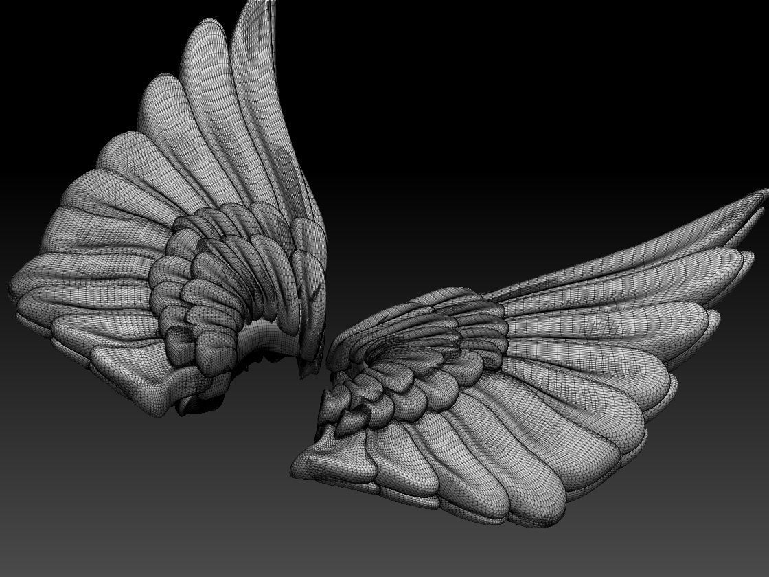 wings colorful feather 3D print model_3