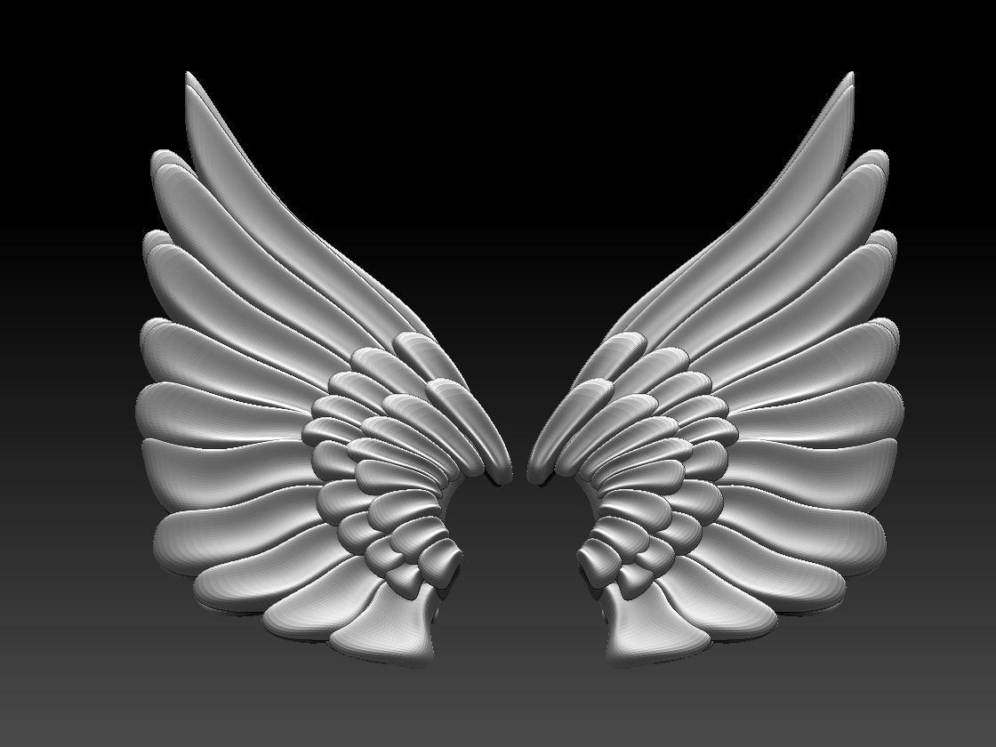 wings colorful feather 3D print model_1