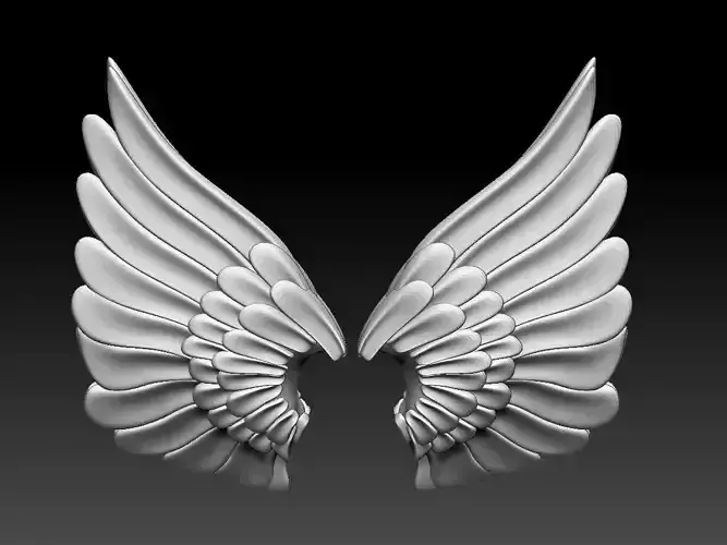 wings colorful feather 3D print model