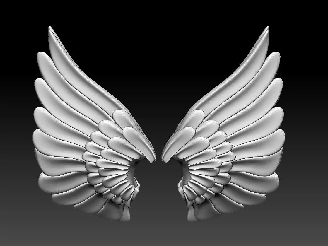 wings colorful feather 3D print model_0