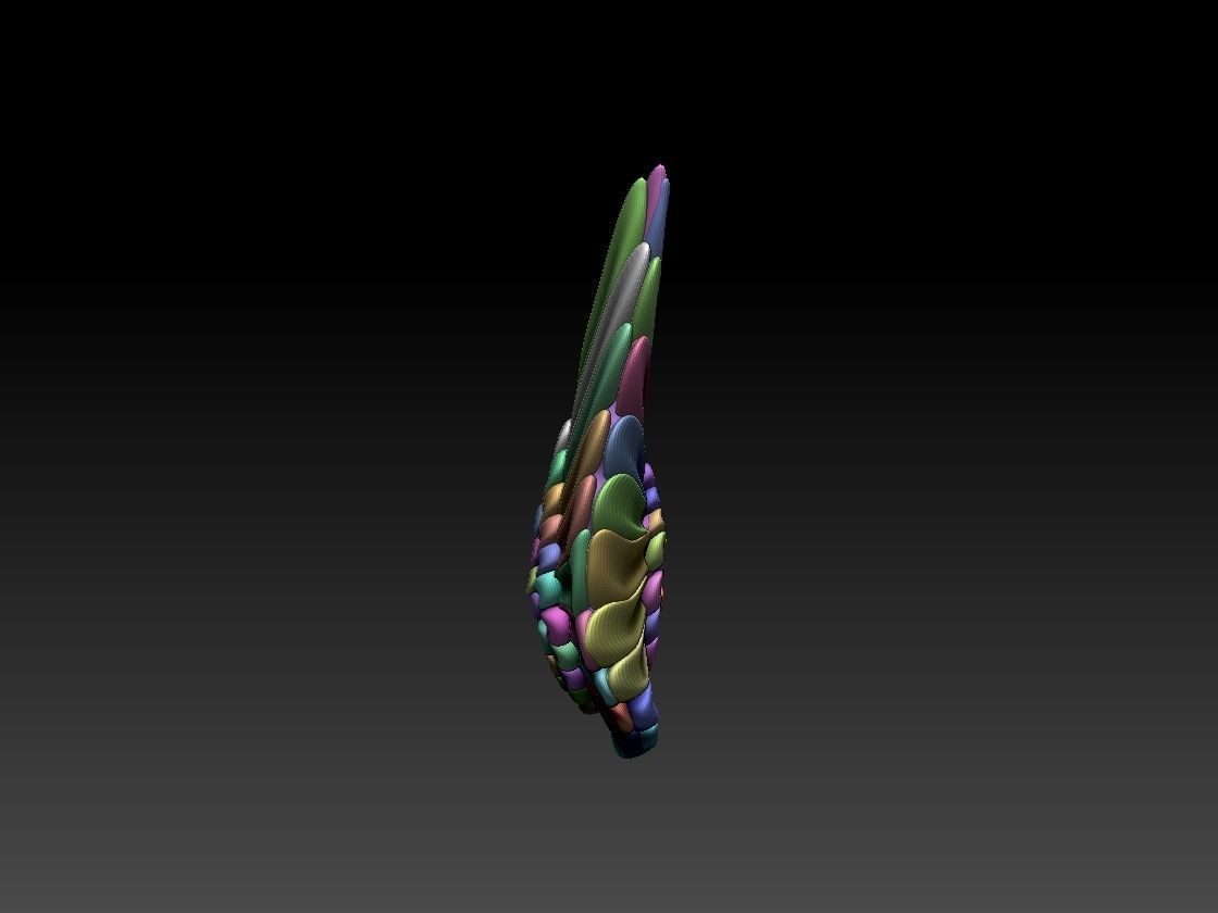 wings colorful feather 3D print model_4