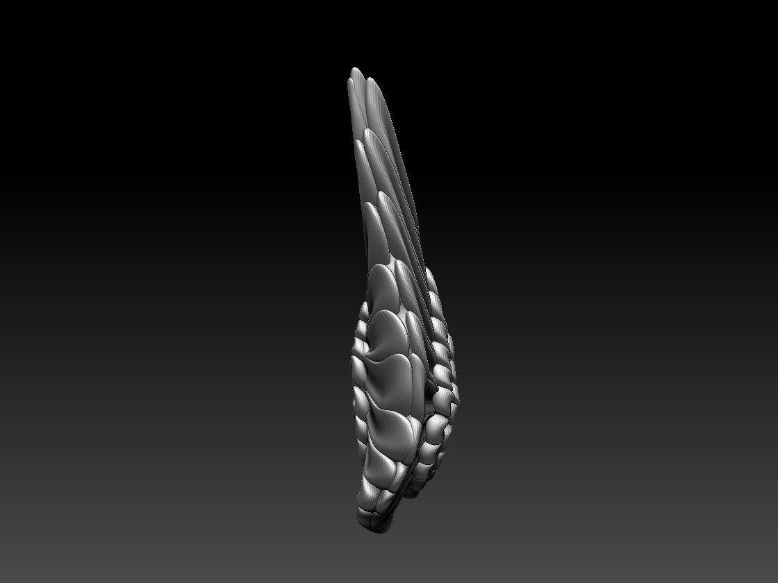 wings colorful feather 3D print model_5