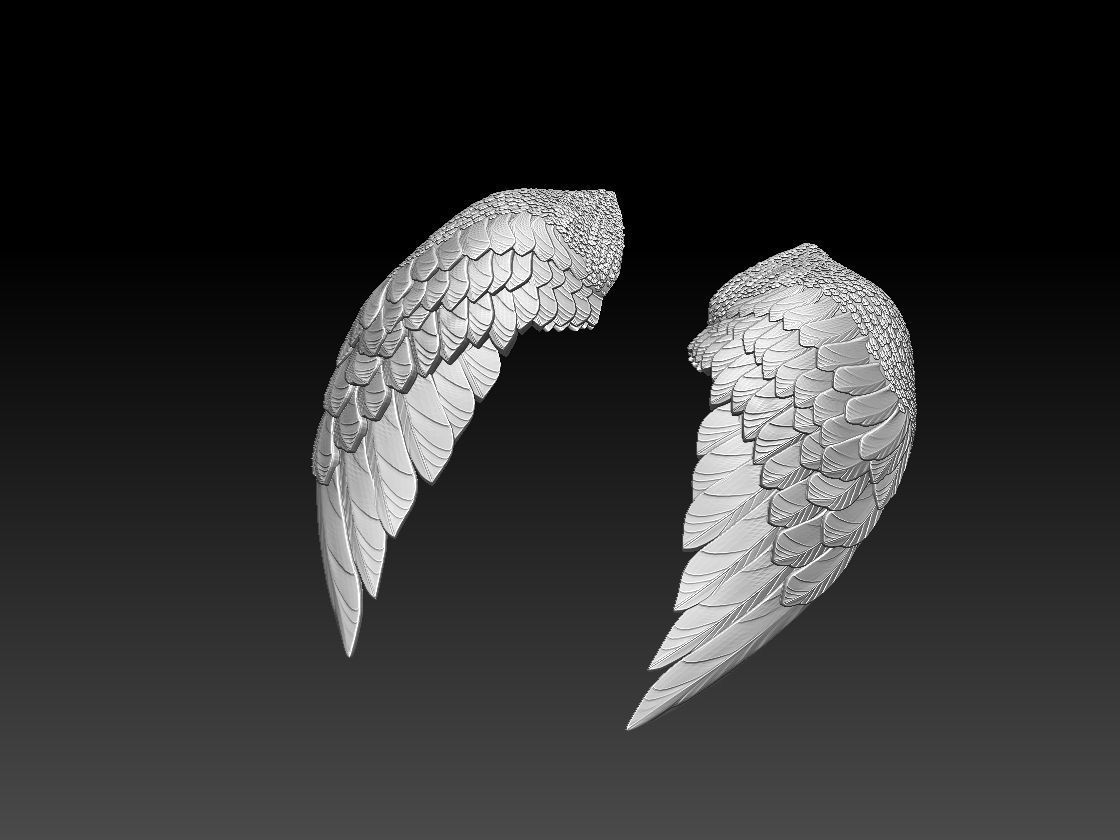 wings two colorful 3D print model_2