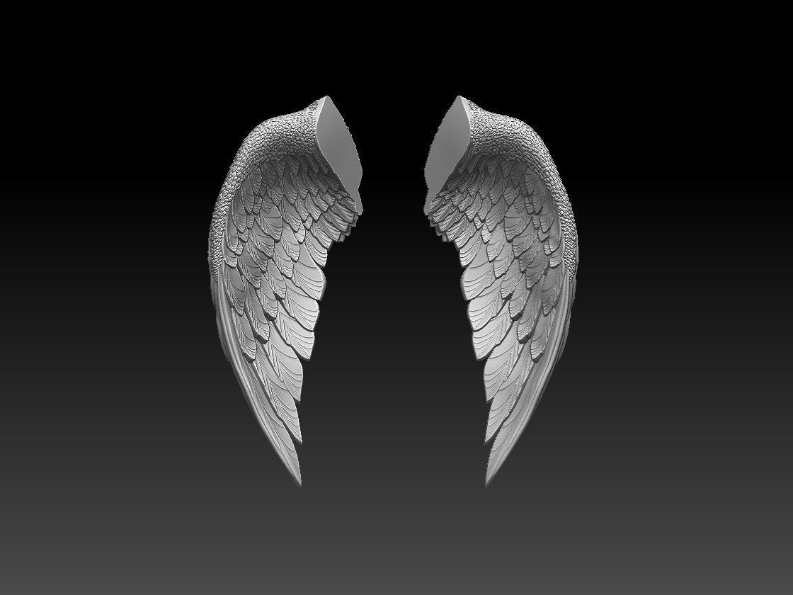 wings two colorful 3D print model_1