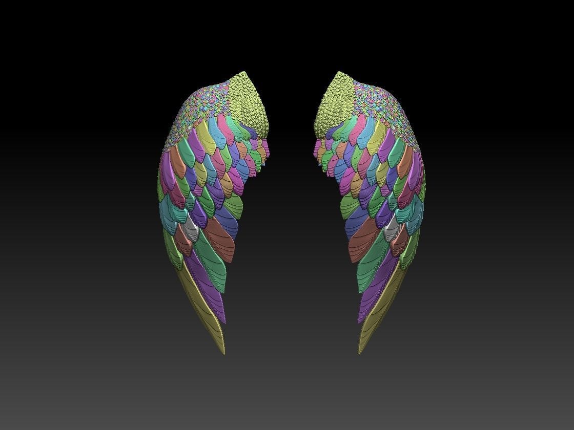 wings two colorful 3D print model_4