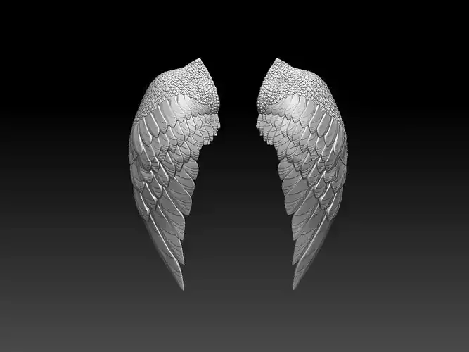 wings two colorful 3D print model