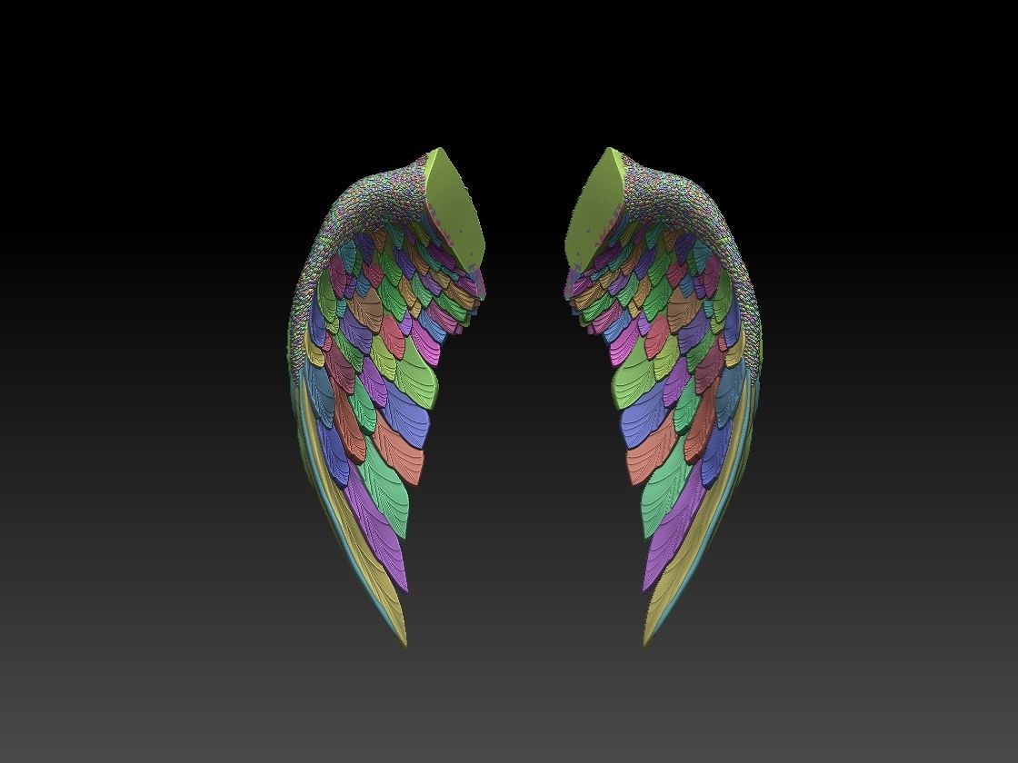 wings two colorful 3D print model_6