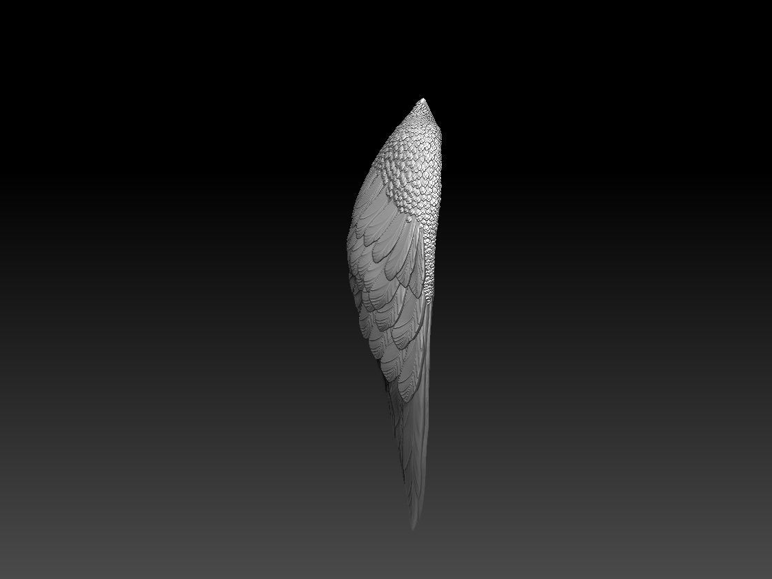 wings two colorful 3D print model_5