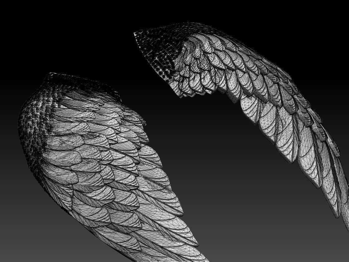 wings two colorful 3D print model_3