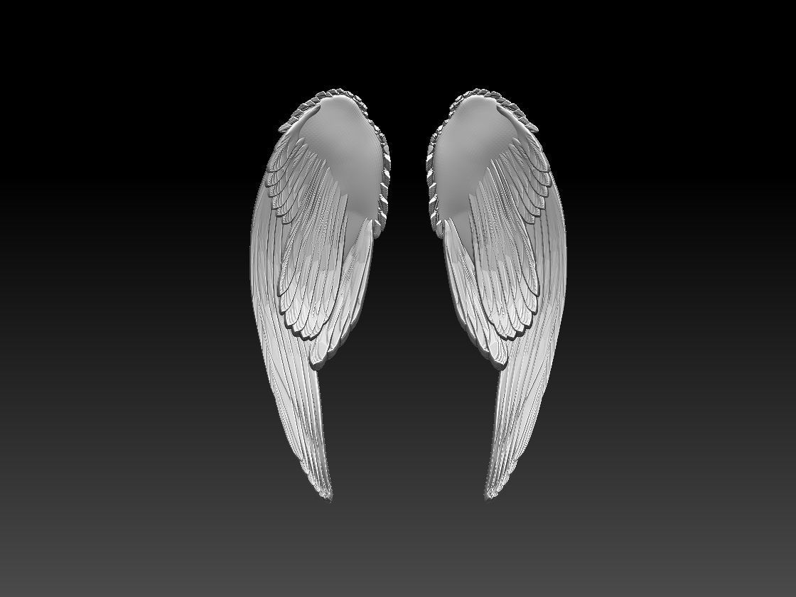 wings sword 3D print model_5