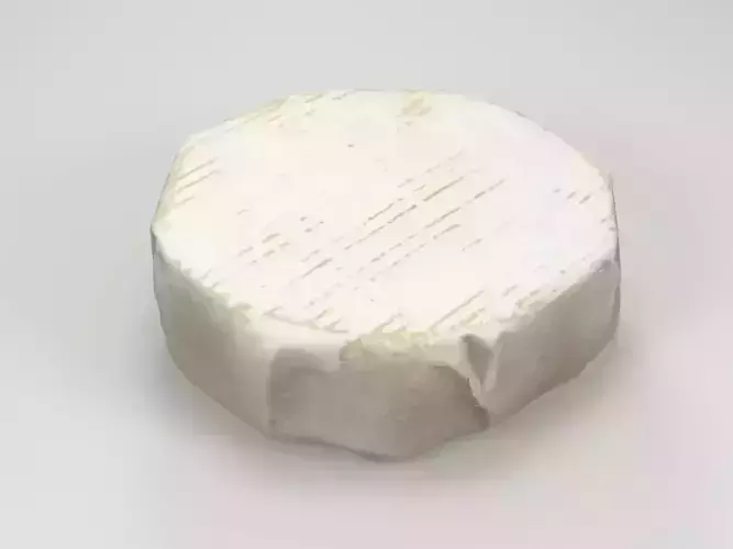 Camembert Cheese 3D model