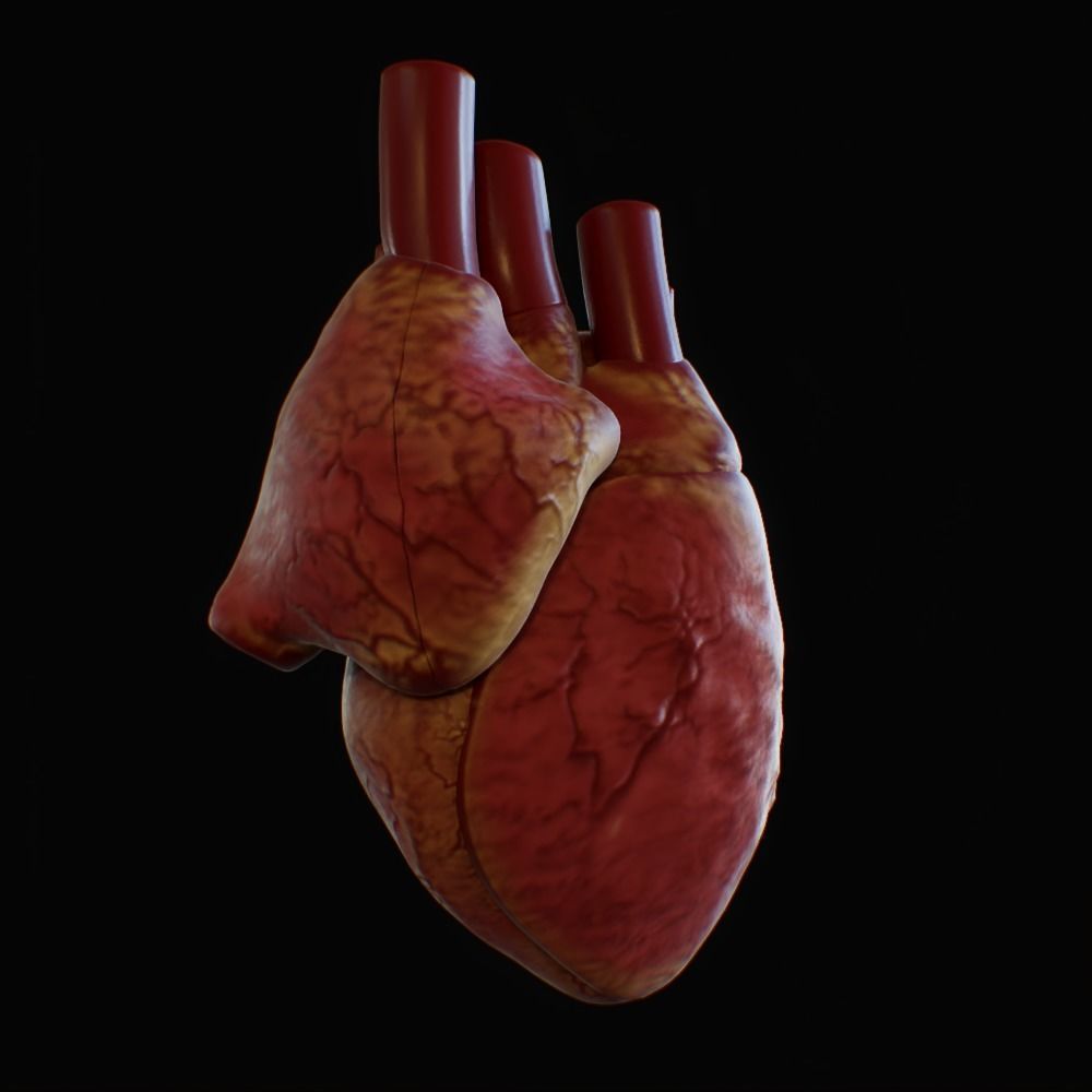 3D model of rigged heart Low-poly 3D model_3