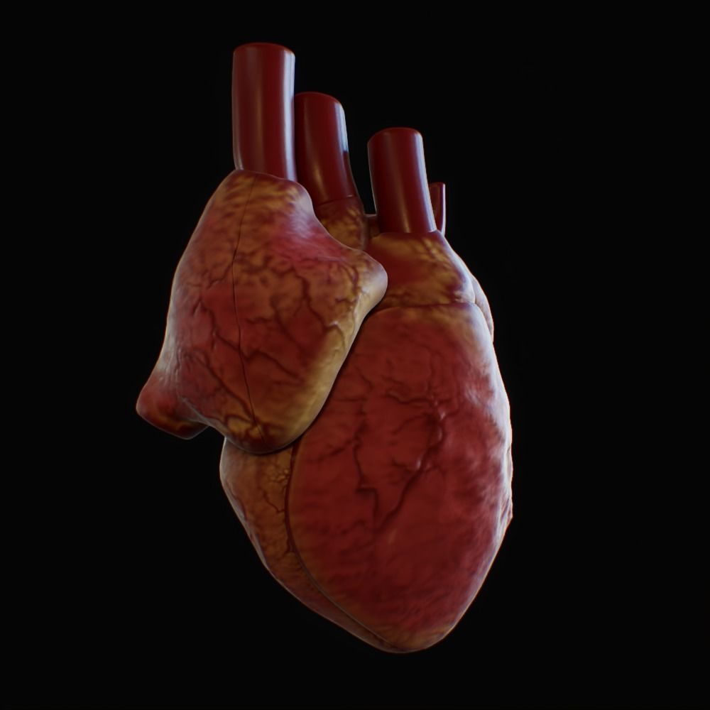 3D model of rigged heart Low-poly 3D model_4