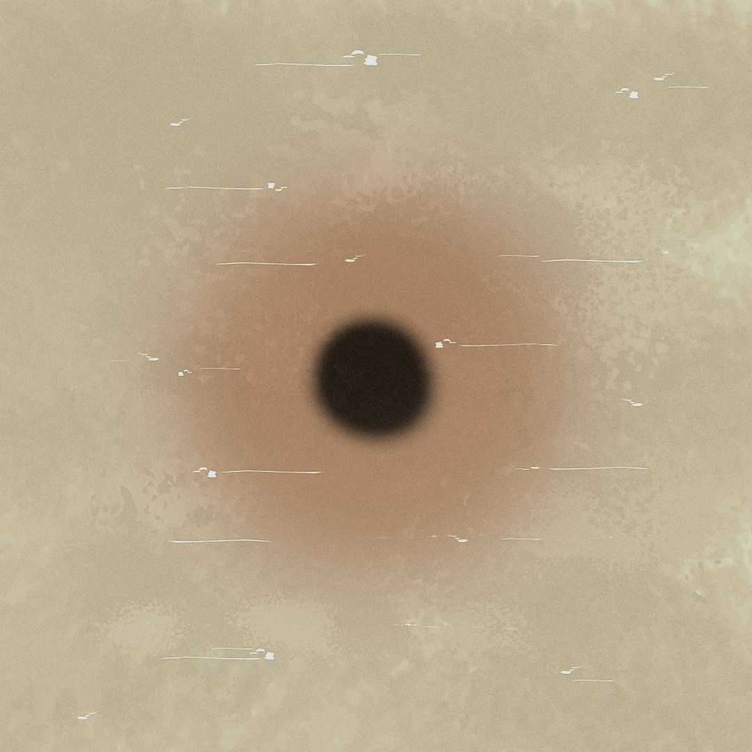 Cactus set four plants Low-poly 3D model_4