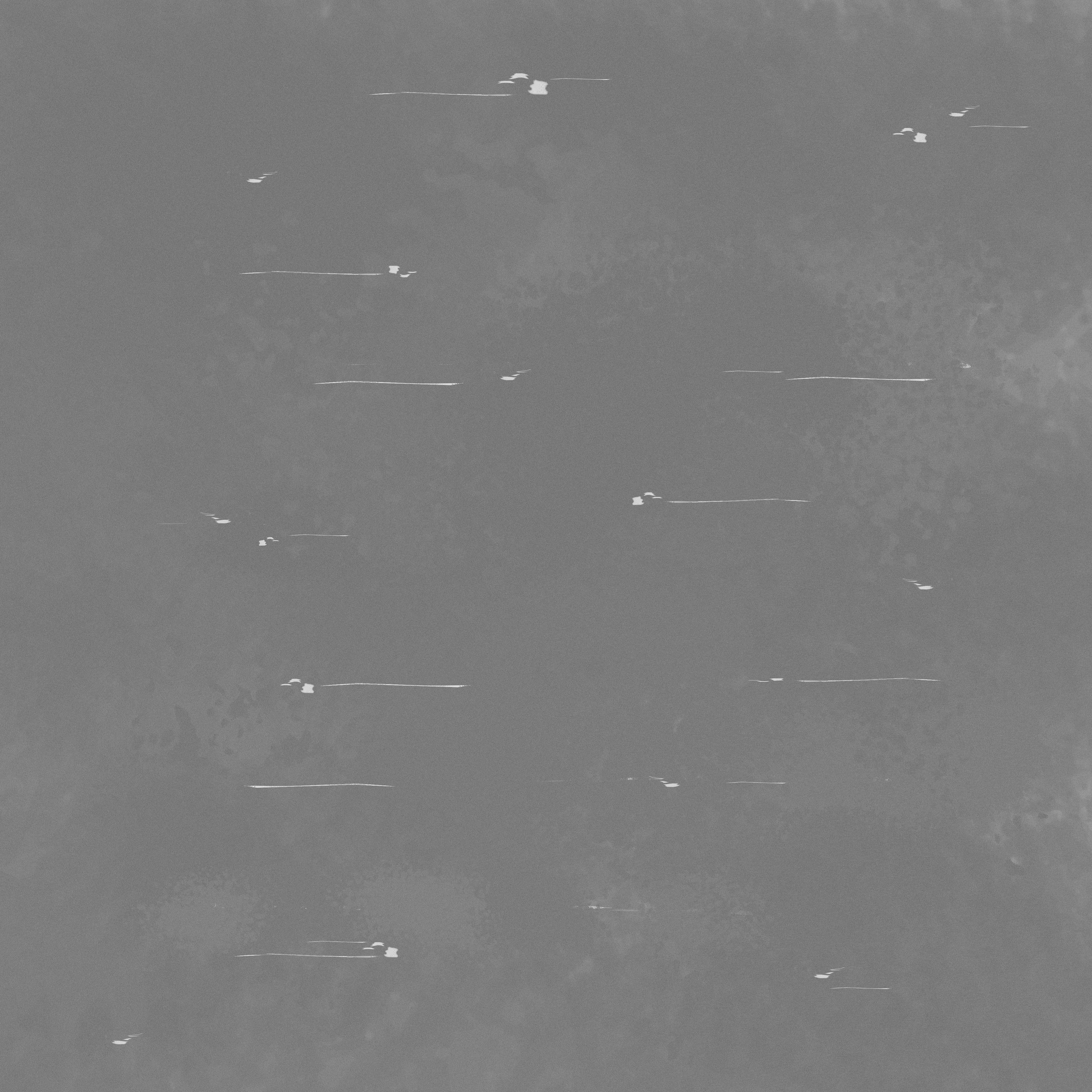 Cactus set four plants Low-poly 3D model_8