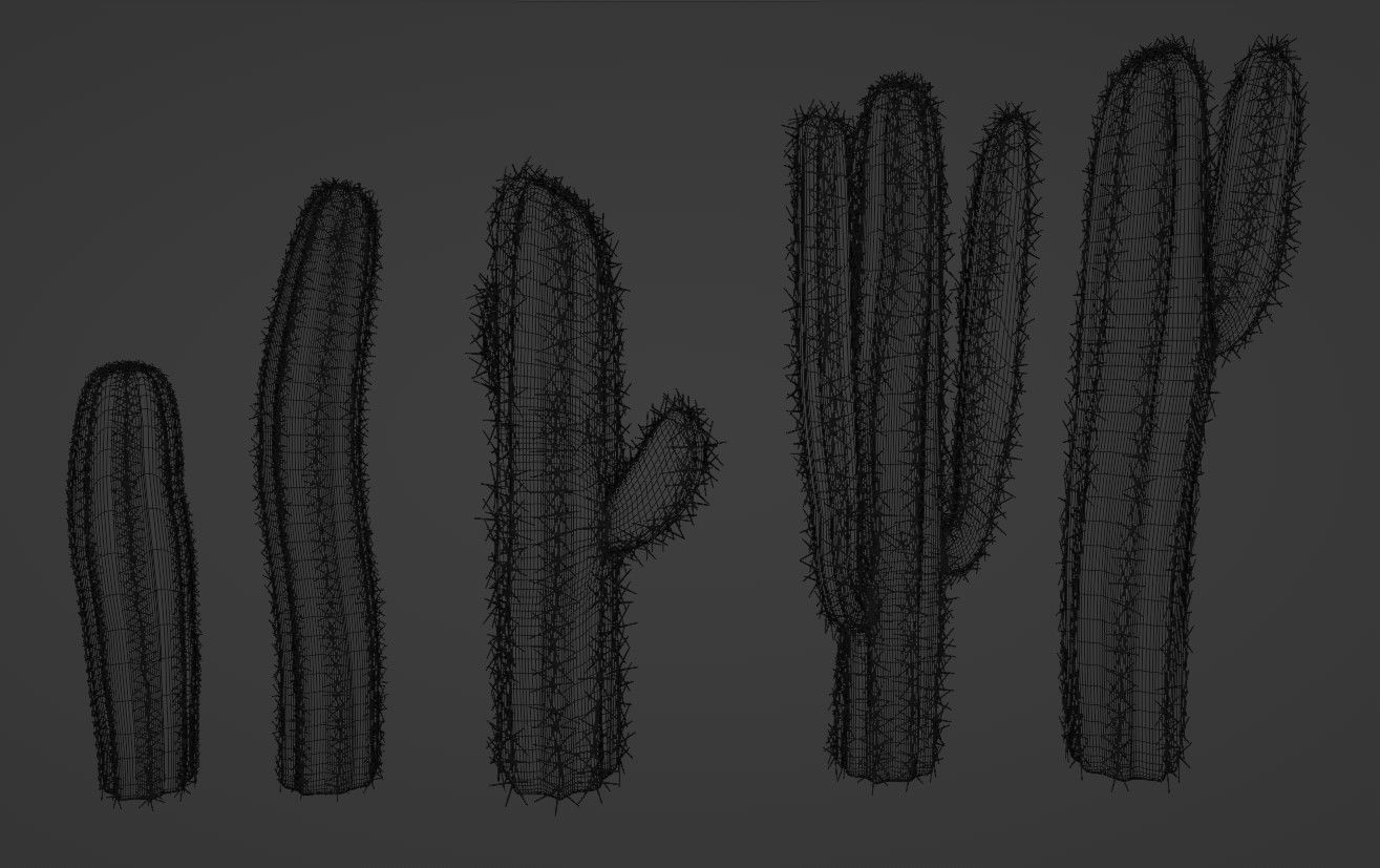 Cactus set four plants Low-poly 3D model_1