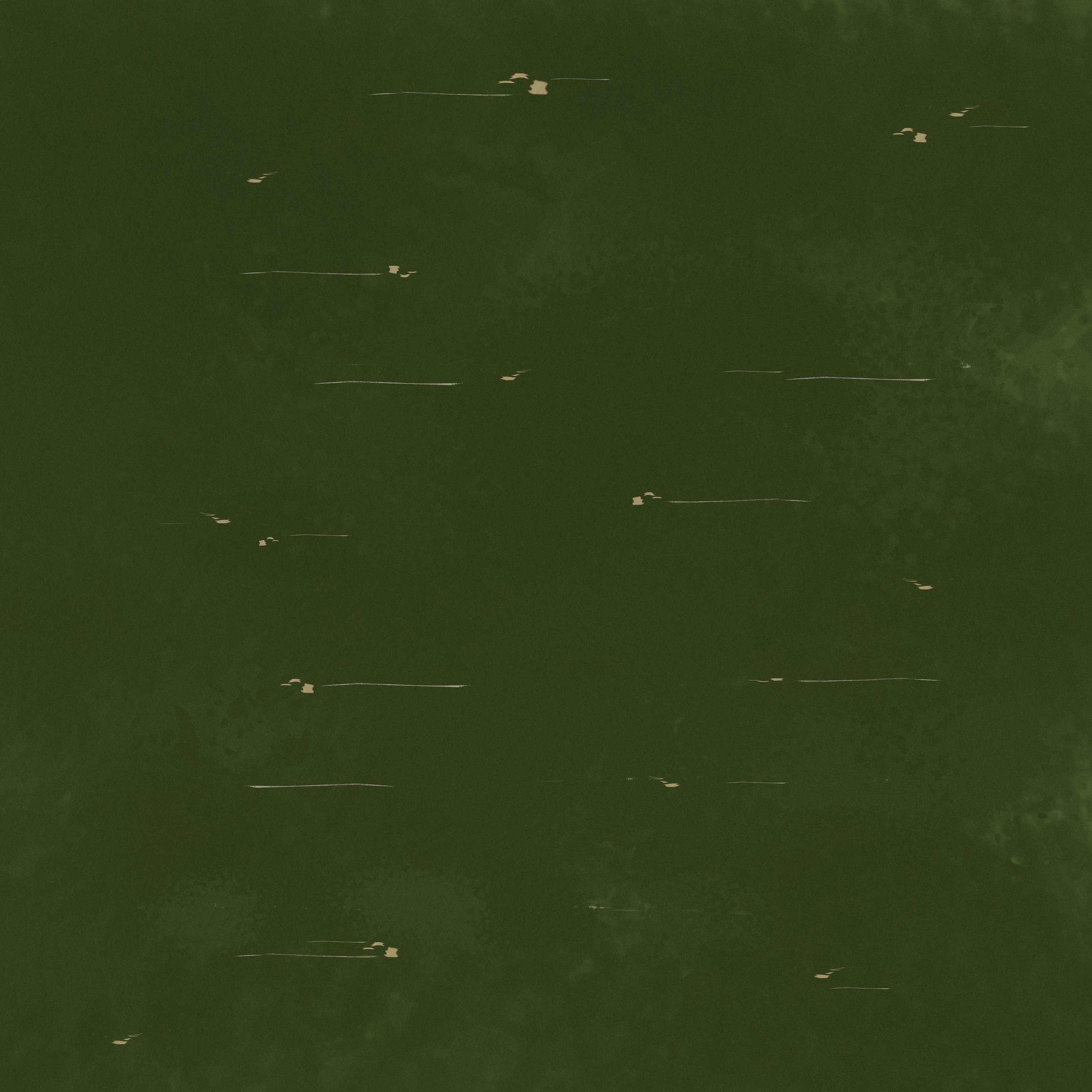 Cactus set four plants Low-poly 3D model_7