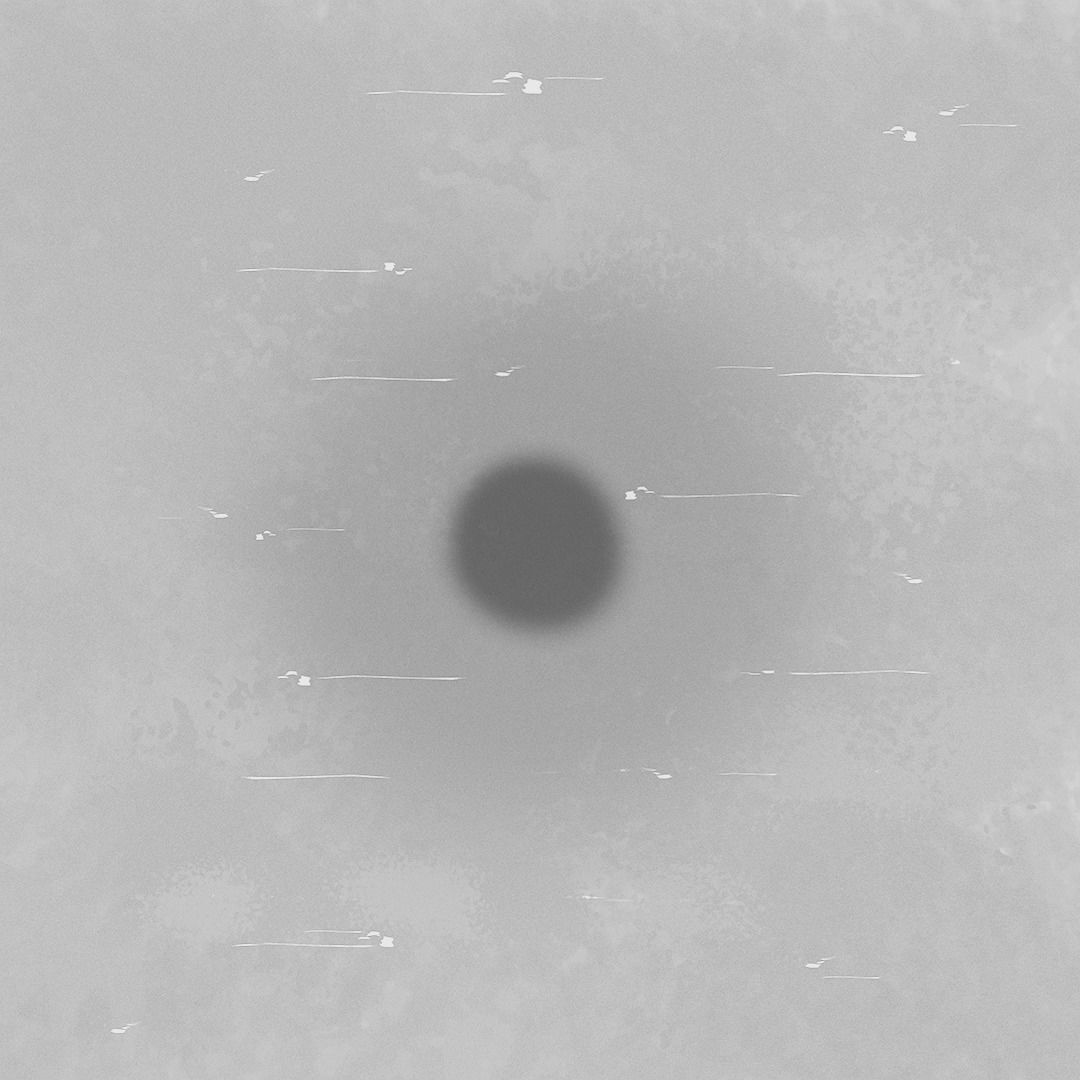 Cactus set four plants Low-poly 3D model_5