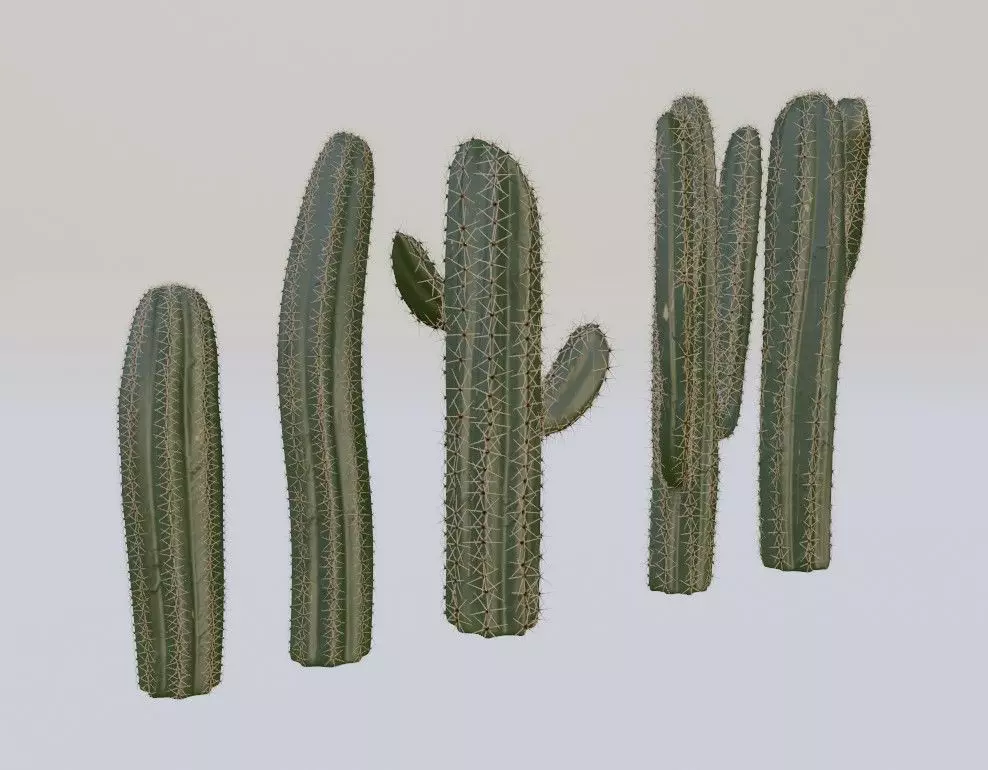 Cactus set four plants Low-poly 3D model_0