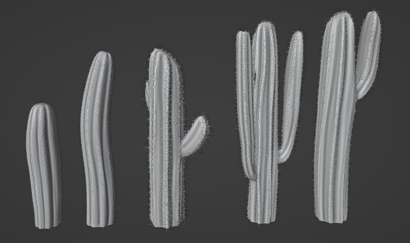 Cactus set four plants Low-poly 3D model_2