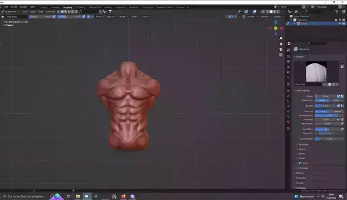 Torso human body