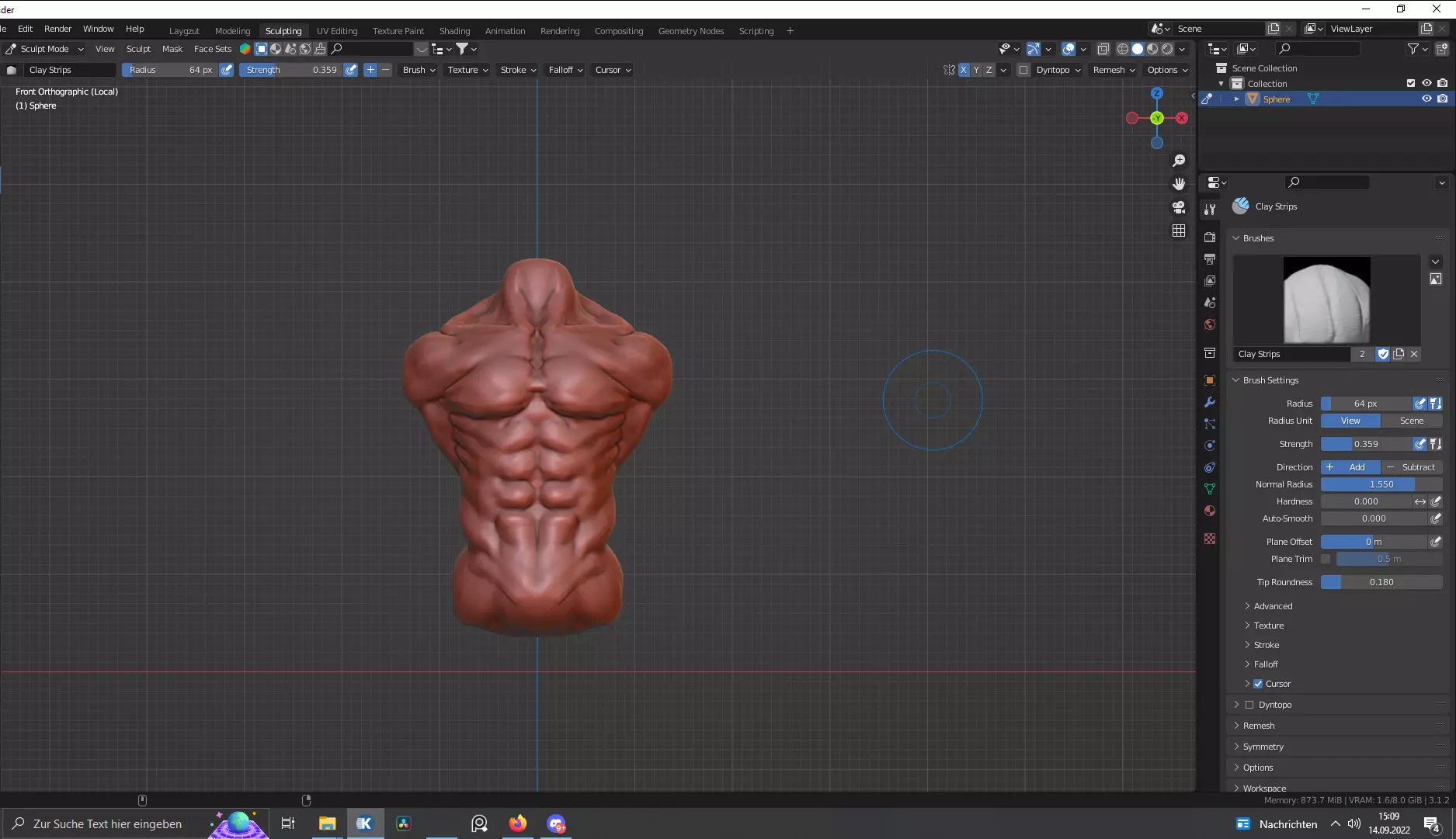 Torso human body Free 3D model