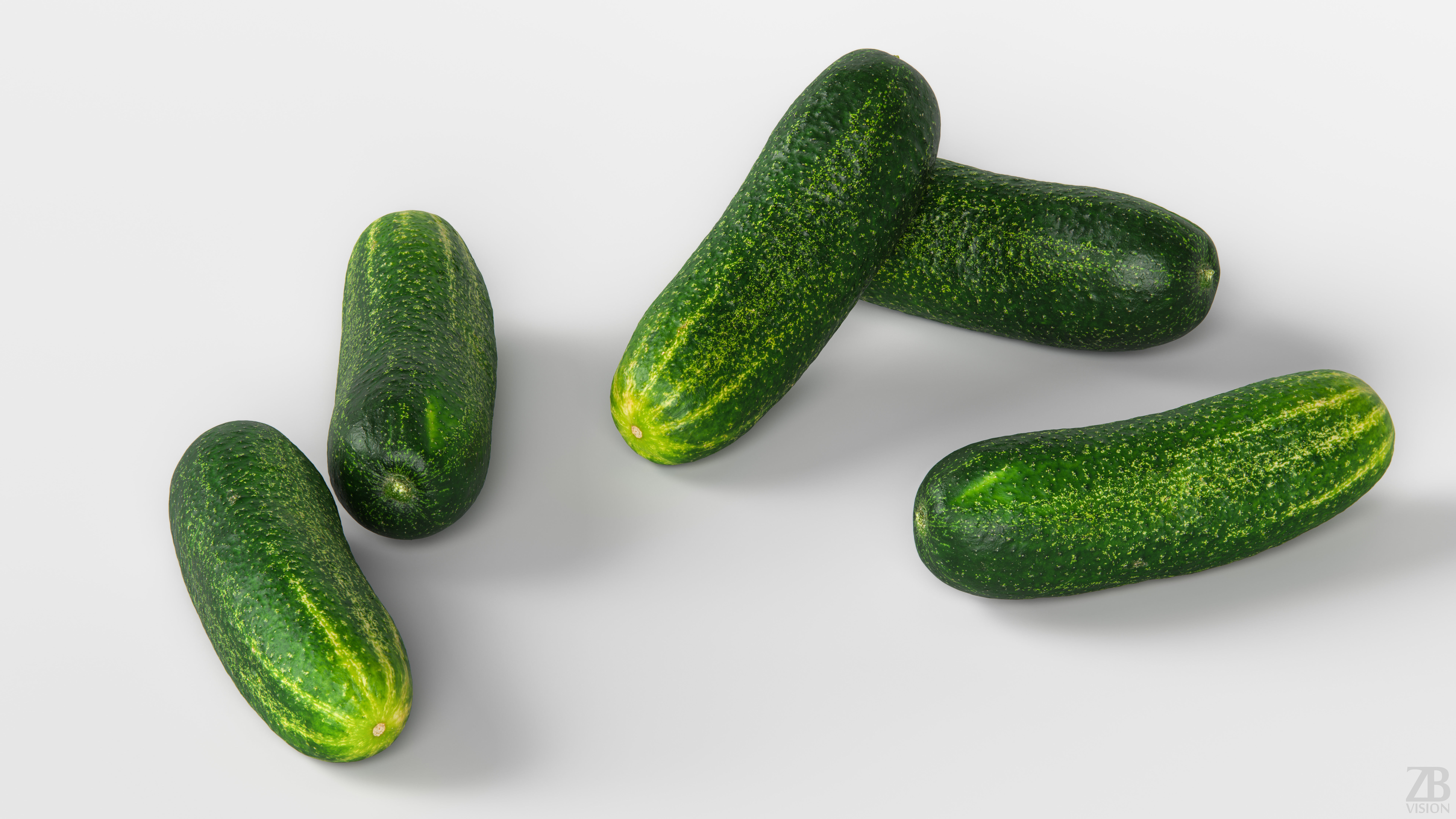 Cucumber 3D model_2