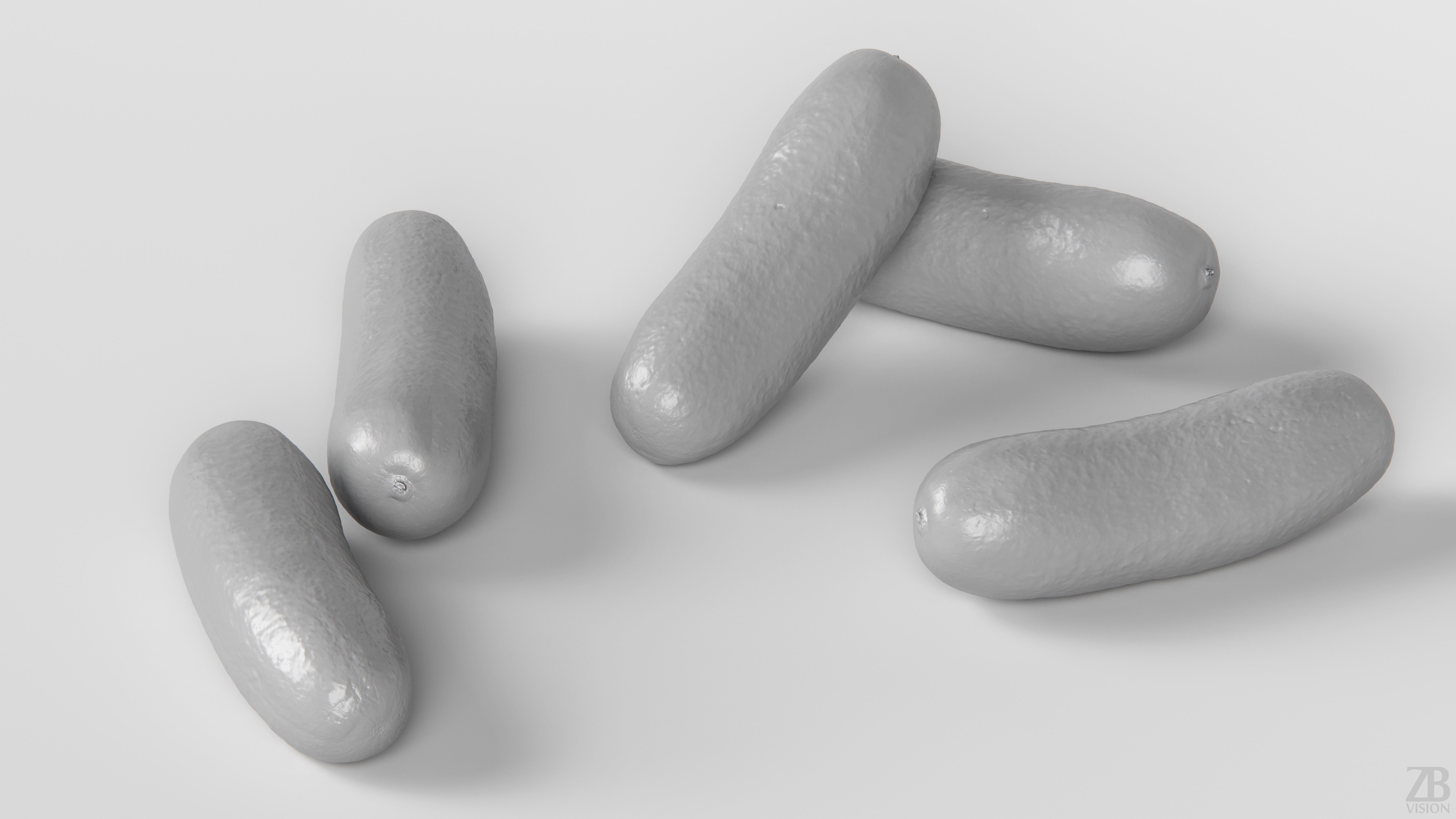 Cucumber 3D model_3