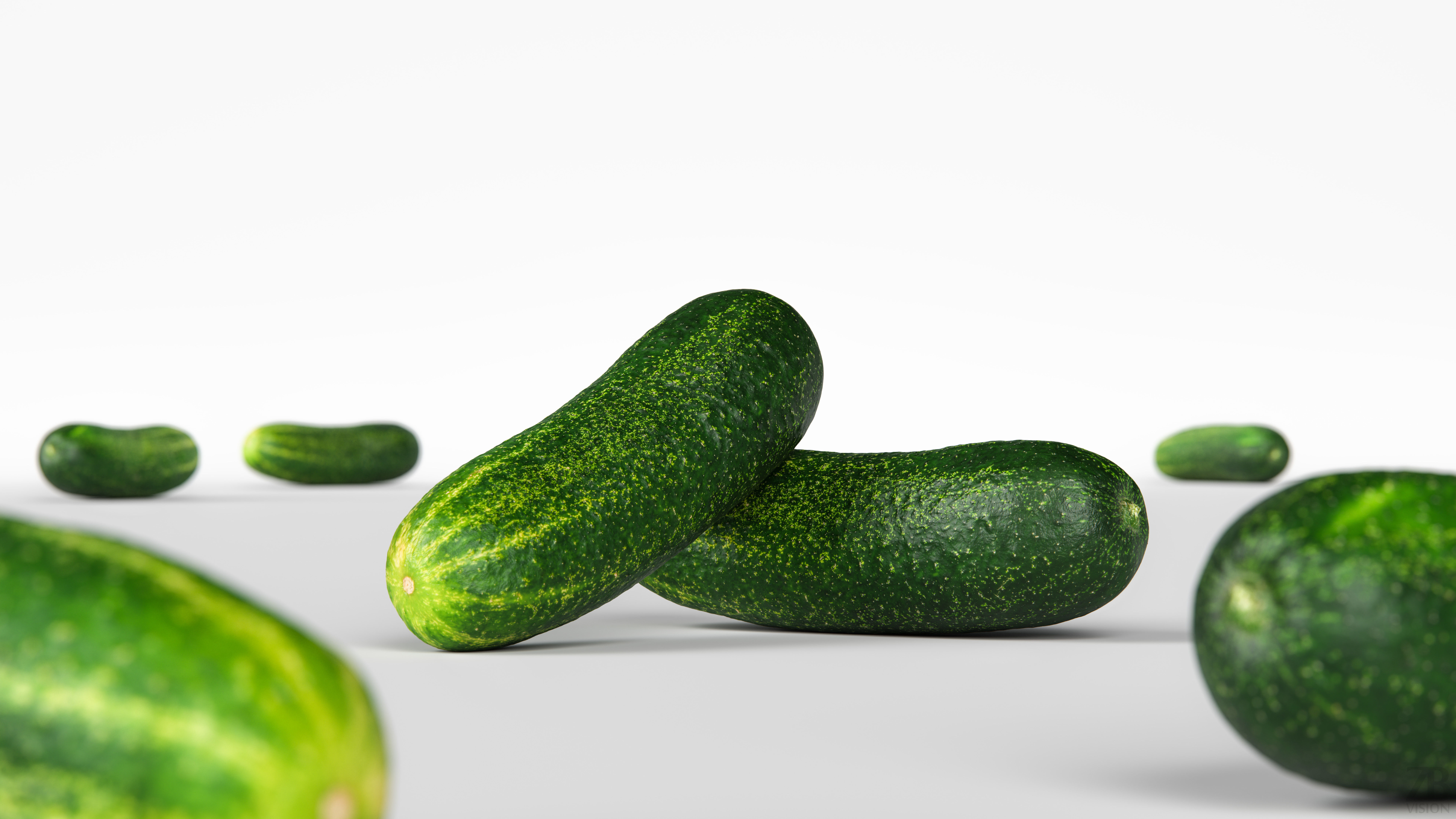 Cucumber 3D model_1