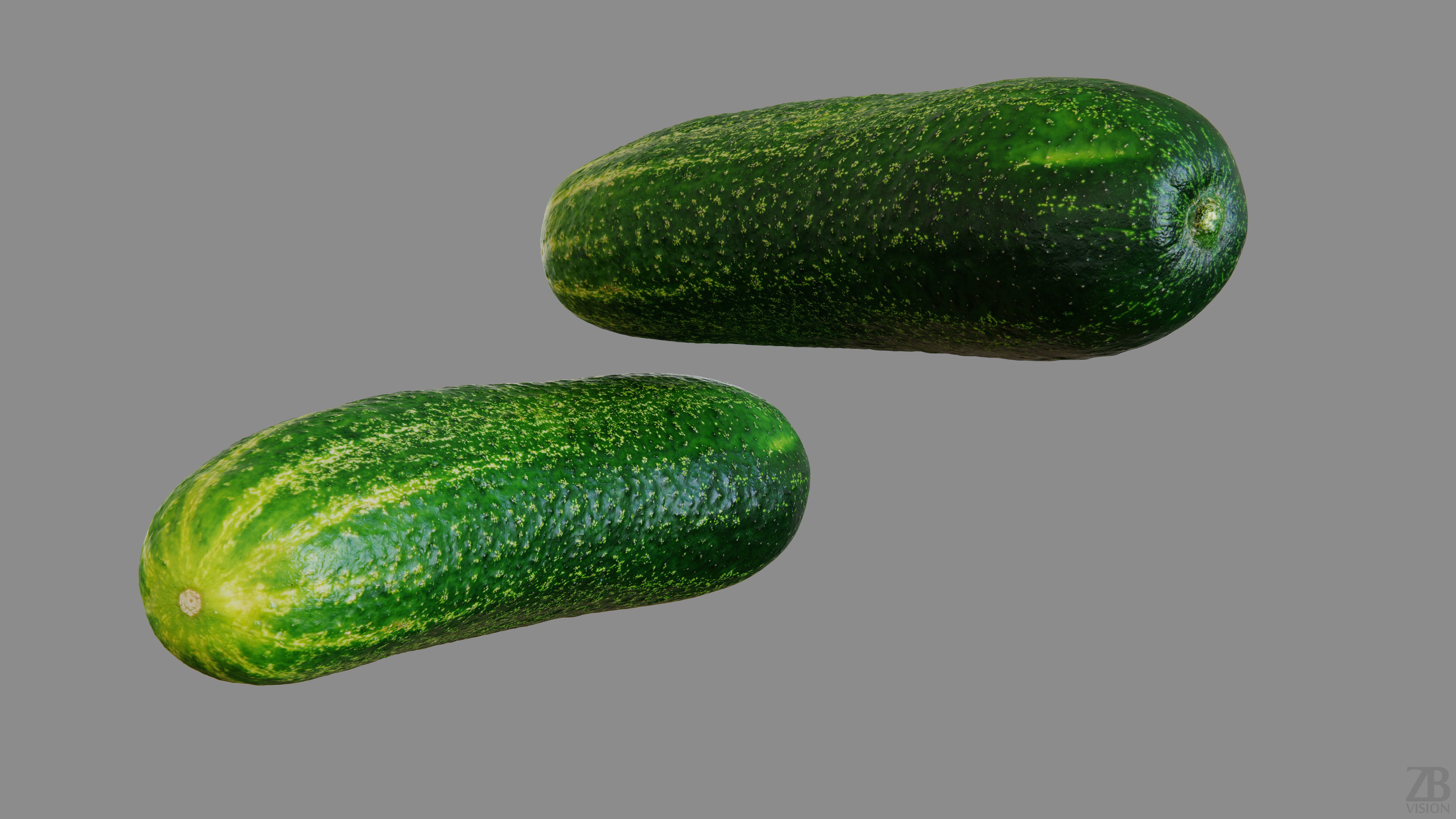 Cucumber 3D model_9