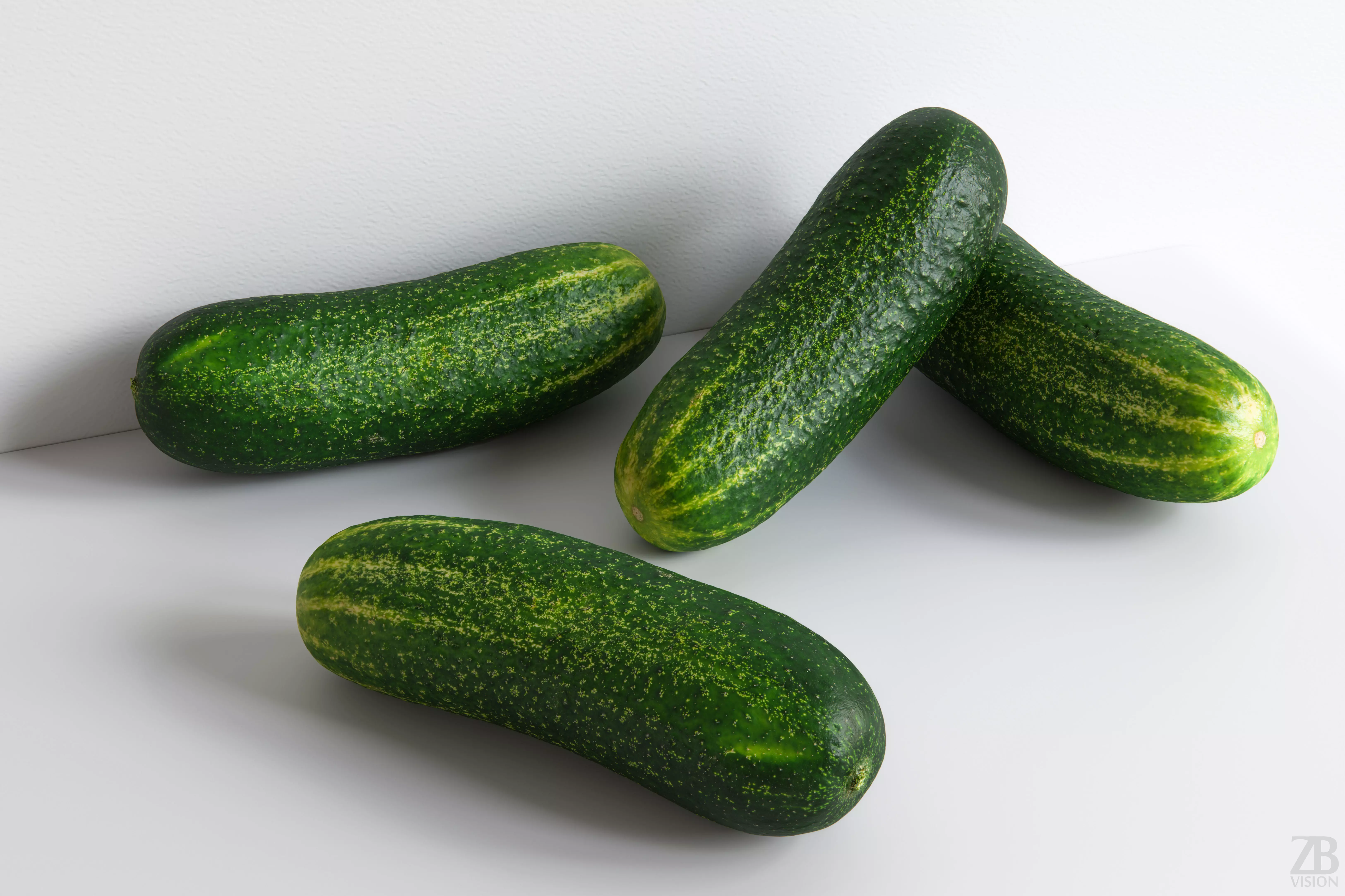 Cucumber 3D model_0