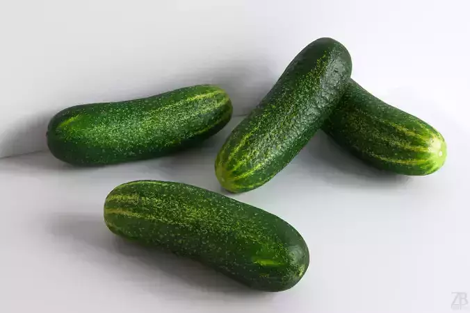 Cucumber 3D model