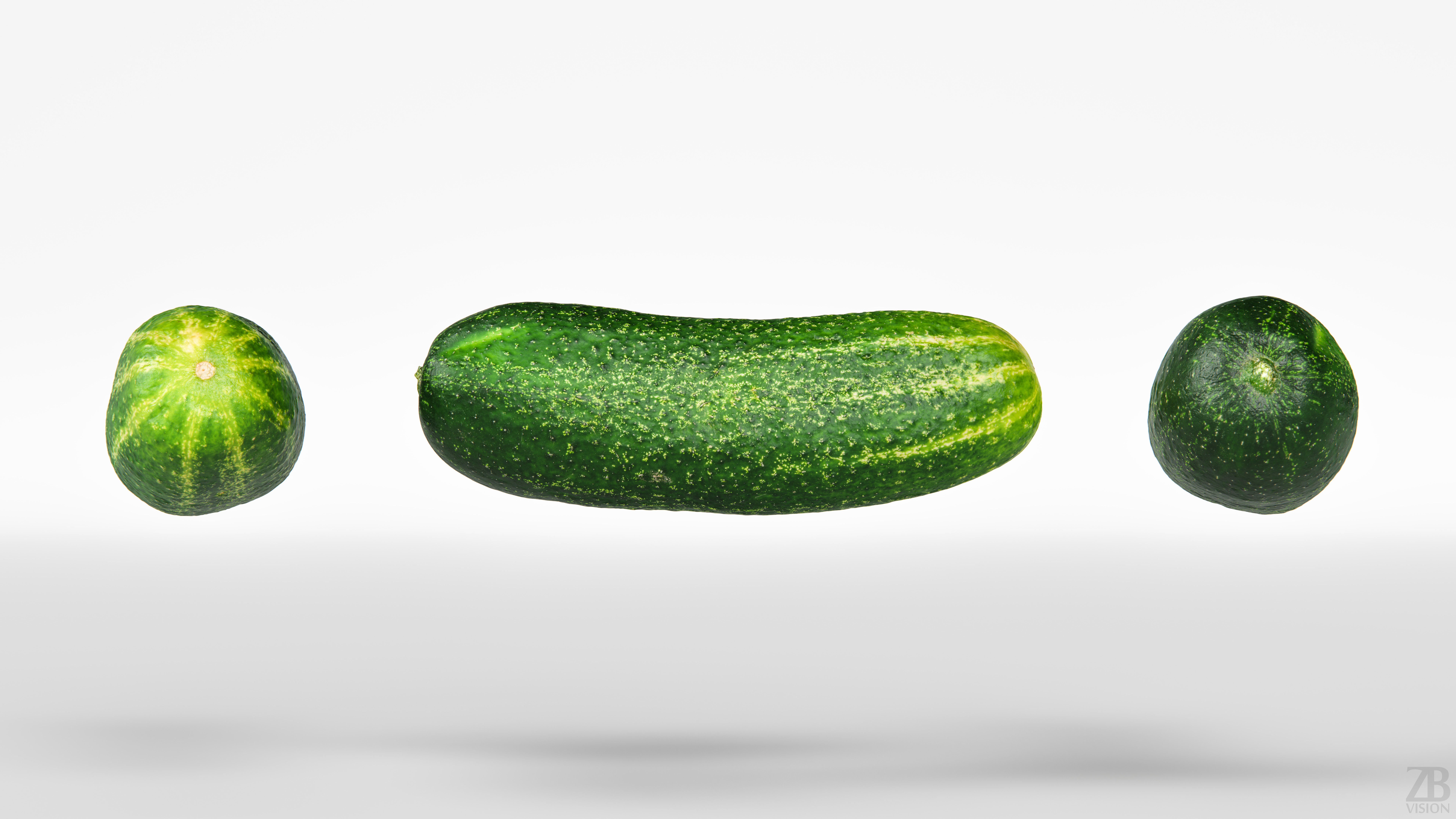 Cucumber 3D model_4