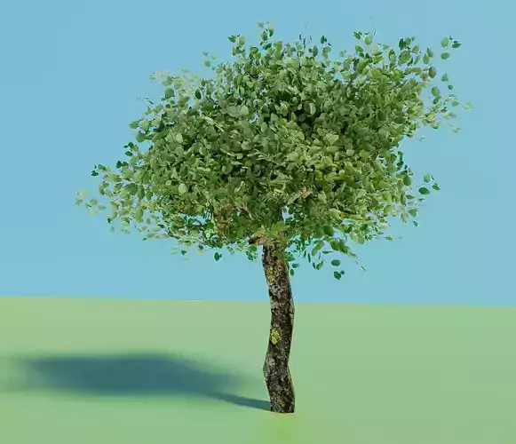 Tree with transparent PBR Textures Low-poly 3D model