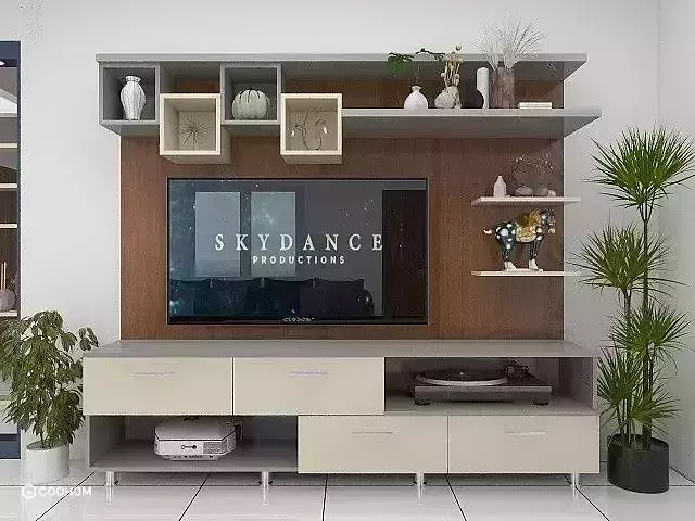 Tv modern unit
